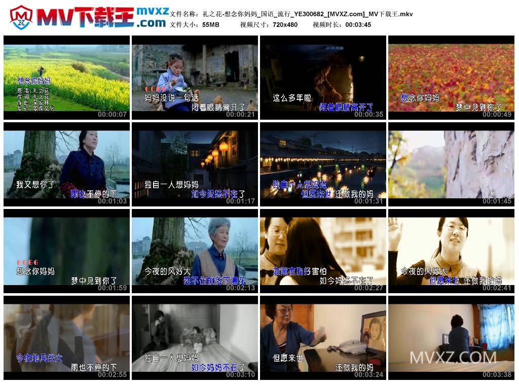 礼之花-想念你妈妈_国语_流行_YE300682